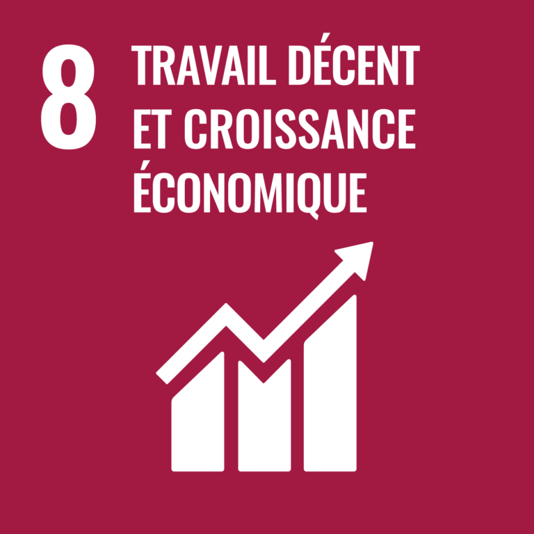 Objectif de développement durable 8 des Nations Unies : travail décent et croissance économique