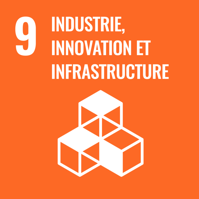 Objectif de développement durable 9 des Nations Unies : industrie, innovation et infrastructure