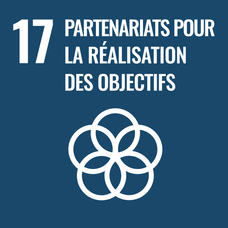 Objectif de développement durable 17 des Nations Unies : partenariats pour la réalisation des objectifs
